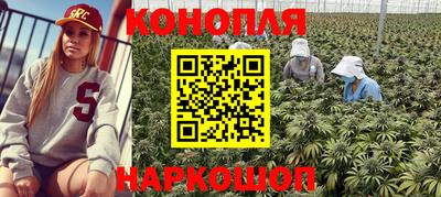 круглые Лесосибирск