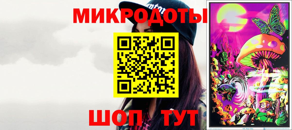 Златоуст  как найти   Вход с VPN  Галлюциногенные грибы Psilocybine cubensis 